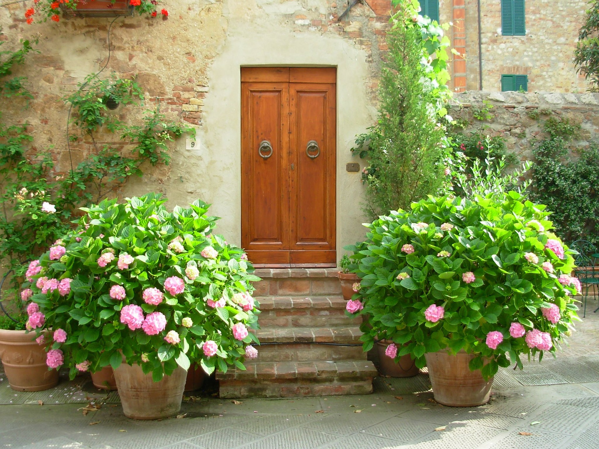 Welcoming entryway with beautiful plants